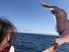 񂳂̐̓AMN[WOv}ւ̓eʐ^1