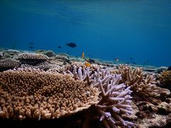 ݂ӂ̃}VbvΊ_Ί㐿ւ̓eʐ^1