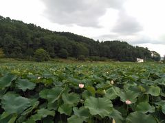 ͂Ȃ̖΁i@rjւ̓eʐ^1