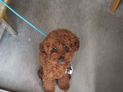 koara̓|̌@TH[ւ̓eʐ^1