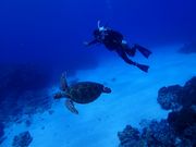 񂿂񂳂wattaa OKINAWA̓eʐ^1