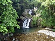 PitapantãAK`̑̓eʐ^1