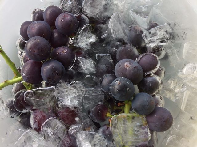 �߂��`����₵�Ē����ƂĂ��������������ł���_�������̉���