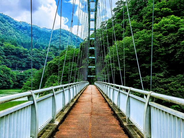 ͒jƋS{̍_邱ƂłAX|bgłB_