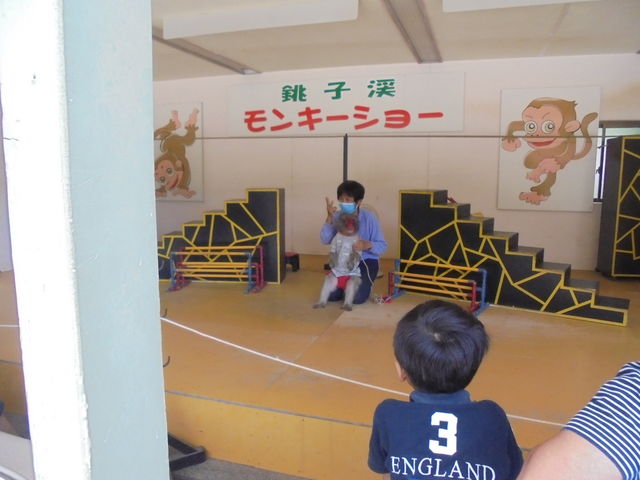 ����_���������q�k���R�������@�����̍�