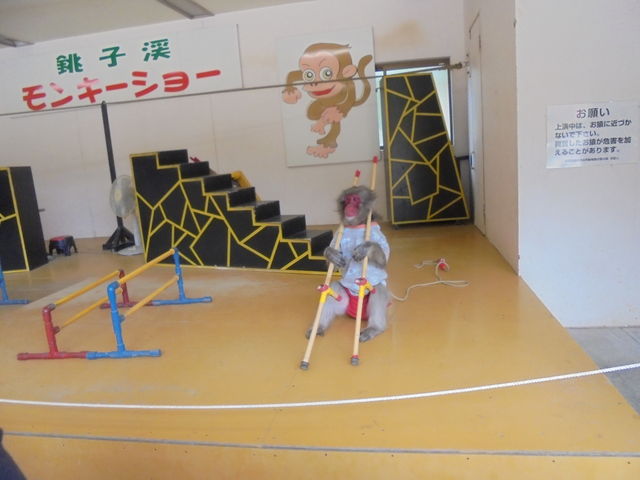 ����ꂩ�ȁH_���������q�k���R�������@�����̍�