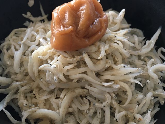 �V���X��_�J�_�e���X