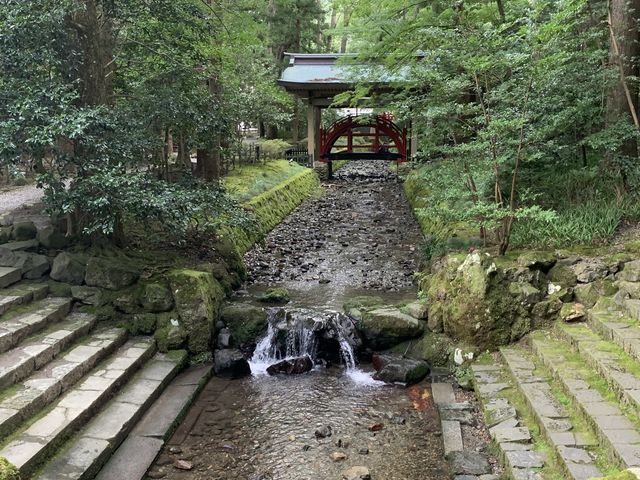 �Q���e�̏���_�\�F�_��