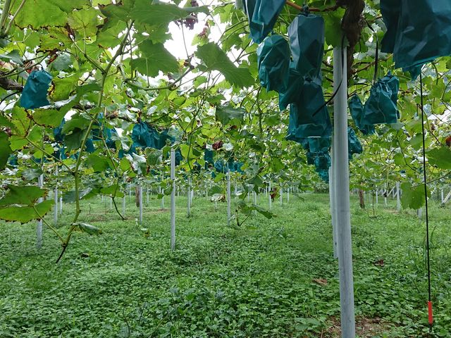 ��������������Ă܂���_���낹�_��