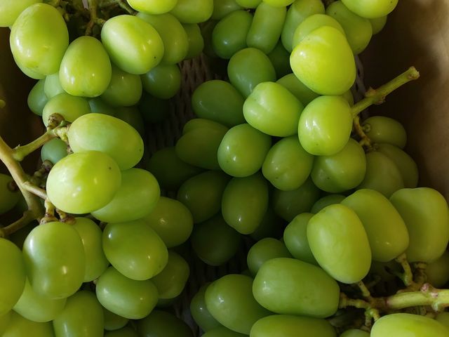 �V���C���}�X�J�b�g_���������_��