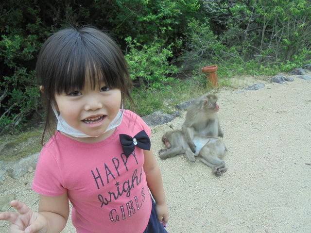 ������_���������q�k���R�������@�����̍�