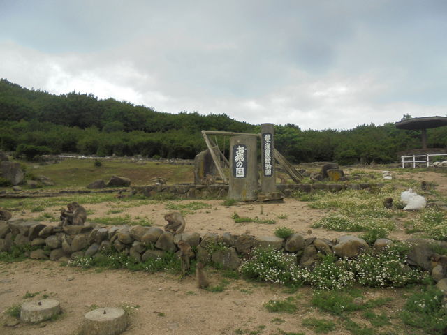 �����̍�_���������q�k���R�������@�����̍�