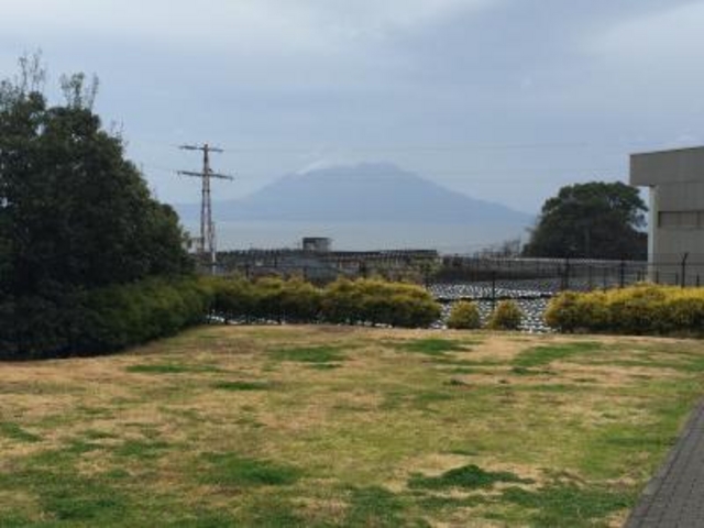 �������Z_�⌳�������낷���� �┨