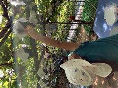 Ȃ33E(sόԂǂZ^[x)ւ̓eʐ^1