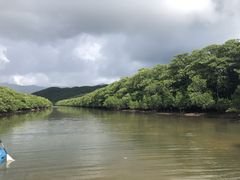 s.sato̐\cA[NGAFւ̓eʐ^1