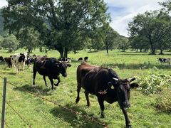 笹ヶ峰牧場の写真一覧 じゃらんnet