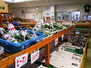 ˂񂳂̓̉w I̐얜t̗̓eʐ^5