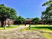 308777isa̕PHspق̓eʐ^3