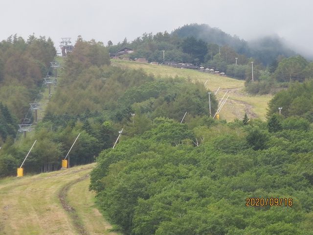 �����e���X