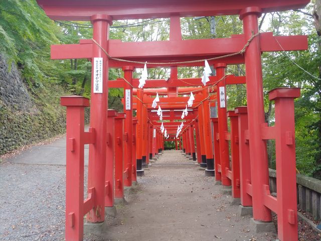 �������f�G�ł��B_�@���א_��