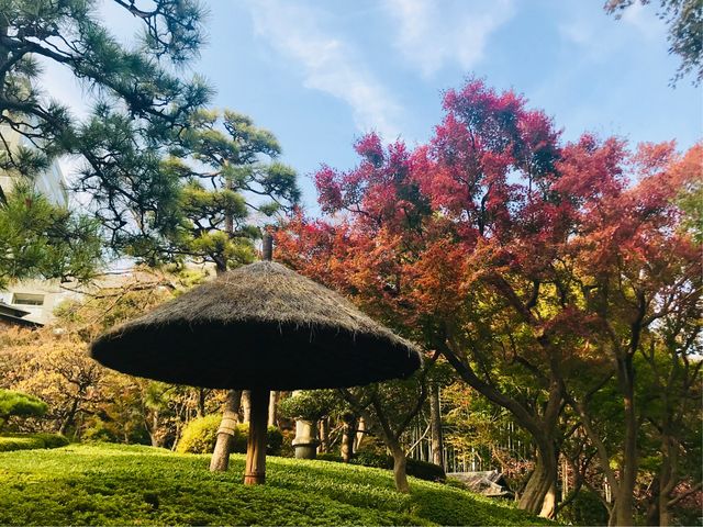 �y���F���z_���F��