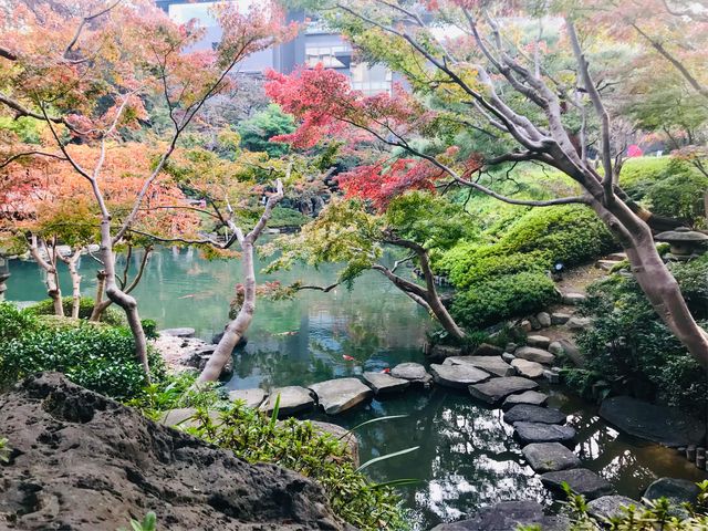 �y���F���z��n_���F��