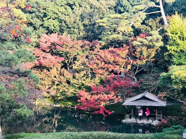 �y���F���z�g�t�̒r_���F��