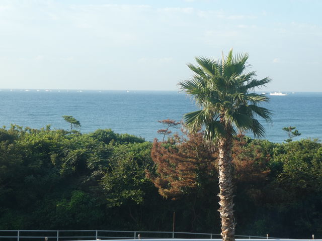 X猩iF_ɗǌΖ̔܂郌Xg N}