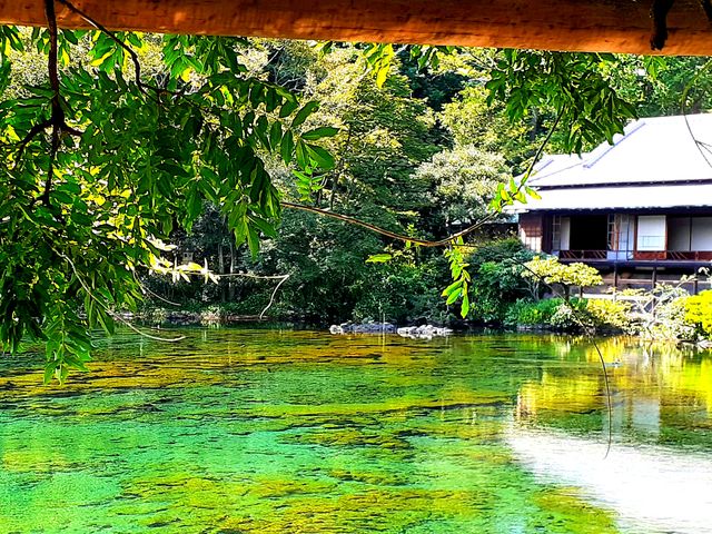 �{�a_�O���s�������@�y����