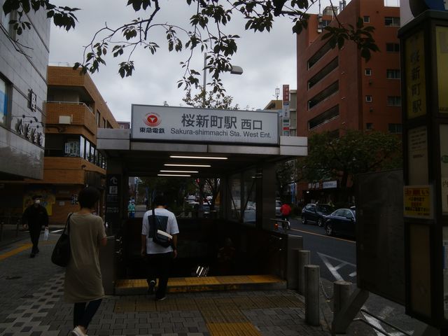 �Ƃ��Ă��f�G�ȊX�ł��A���V���B_���}�c���s�s�� ���V���w