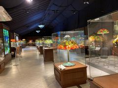 j[[Nv~[WA&t[K[f̎ʐ^1