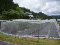 �Z�C�R����̃u���[�x���[�̂��݂��ւ̓��e�ʐ^1