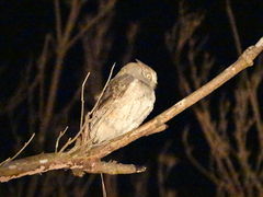 킳̉iCgcA[T[rXւ̓eʐ^1