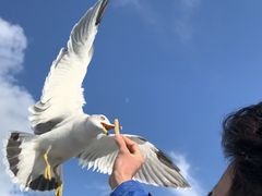 Ȃ̏M̓AN[Yւ̓eʐ^1