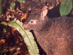 terũ~bhiCgcA[ւ̓eʐ^1