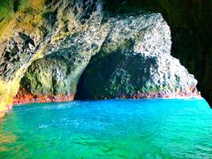 yR̐̓AMN[WOv}ւ̓eʐ^1