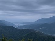 hijikigoke̎}ܓ@_C_̓eʐ^2