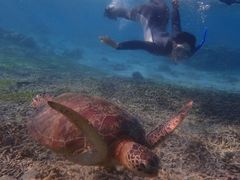 Ȃނ̃RY~bNA[Xւ̓eʐ^1