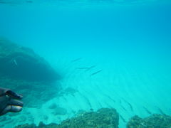 stỏvKChNuւ̓eʐ^1