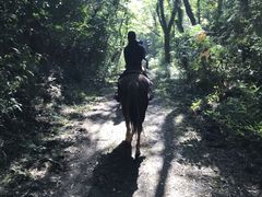 ͂΂Ȃ̈hܖqւ̓eʐ^1