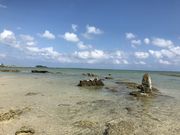 炳炳񂲂̃ndJTElԂ̓eʐ^1