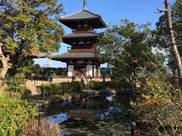 �@�N��_�ޗǔ����c�[���Y��Waikaru