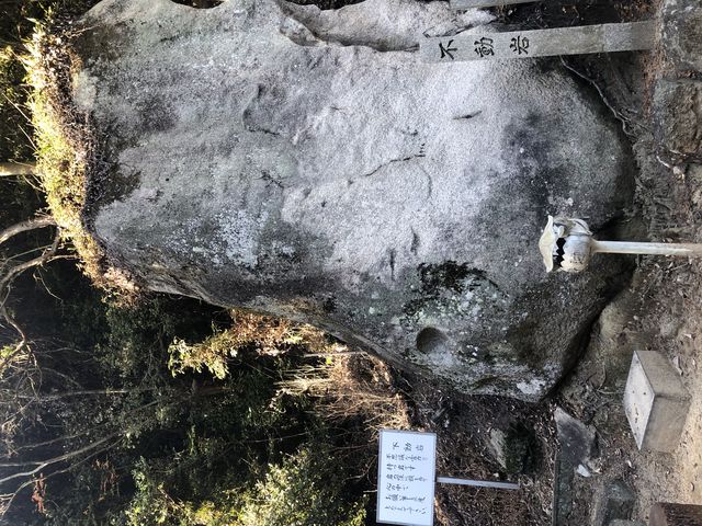 nyanco����̊J�����̓��e�ʐ^2