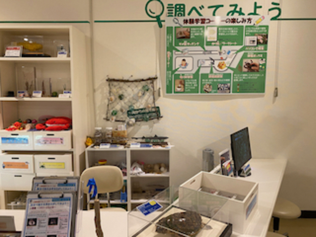 体験コーナー_山陰海岸ジオパーク海と大地の自然館