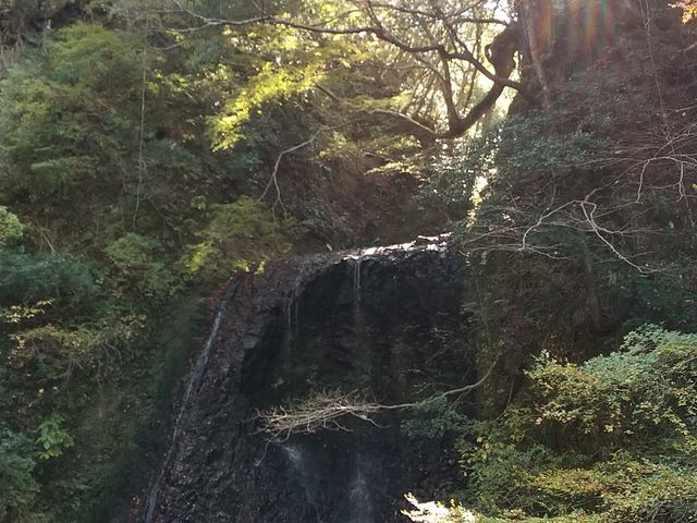 NBNĂ܂AʂȂ̂͏߂āB_s