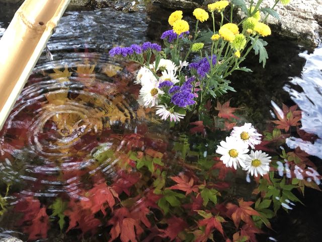 �萅��_���q�_��