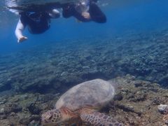 [񂳂̃RY~bNA[Xւ̓eʐ^1