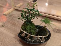 Ƌg̈ɐvw߂Ɖւ̓eʐ^1