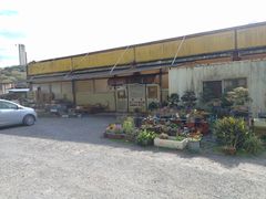 PES����̐ԏ�����ւ̓��e�ʐ^1