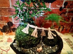 A`L̈ɐvw߂Ɖւ̓eʐ^2